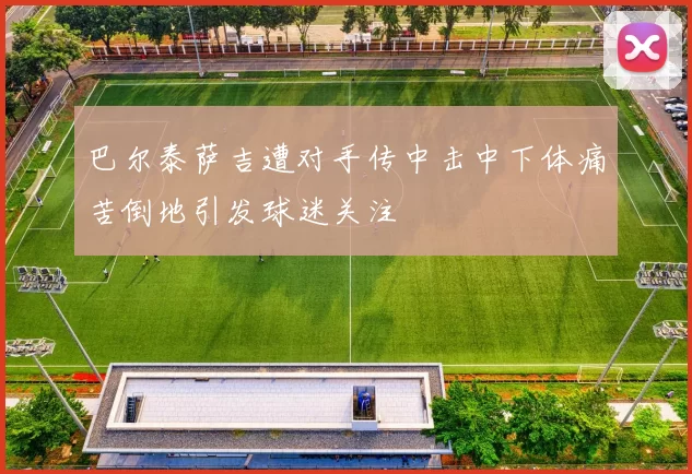 巴尔泰萨吉遭对手传中击中下体痛苦倒地引发球迷关注
